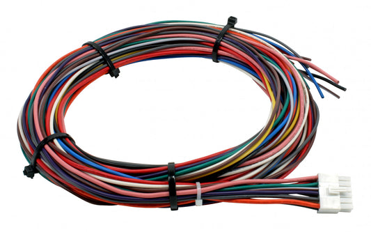 AEM Wiring Harness for V2 Controller with Internal MAP Sensor